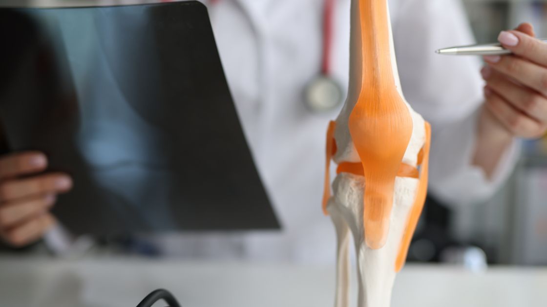 A Importância das Variações de Carga para a Saúde da Cartilagem e Prevenção da Artrose